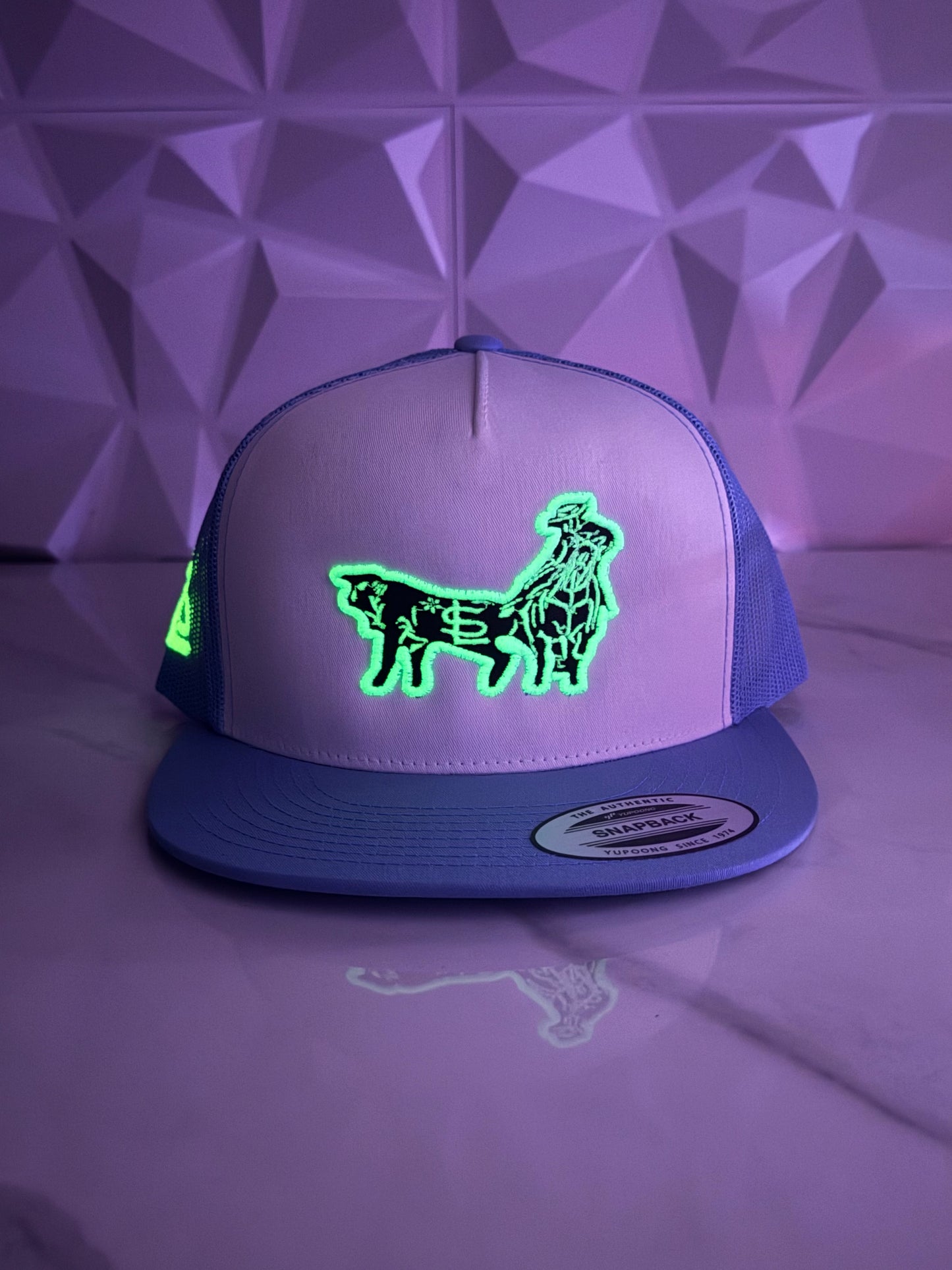 Coleadero Trucker SnapBack Hat