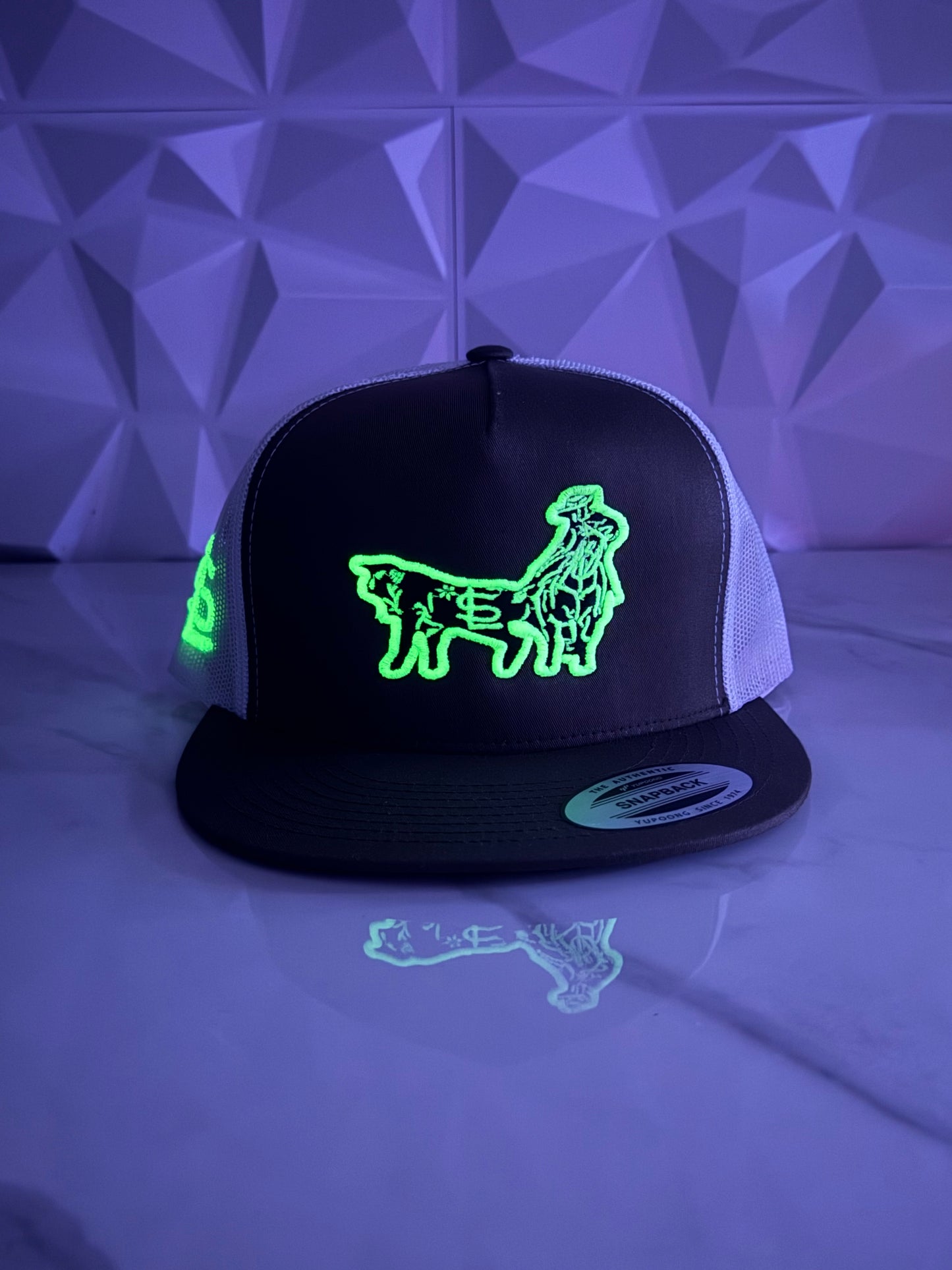 Coleadero Trucker SnapBack Hat