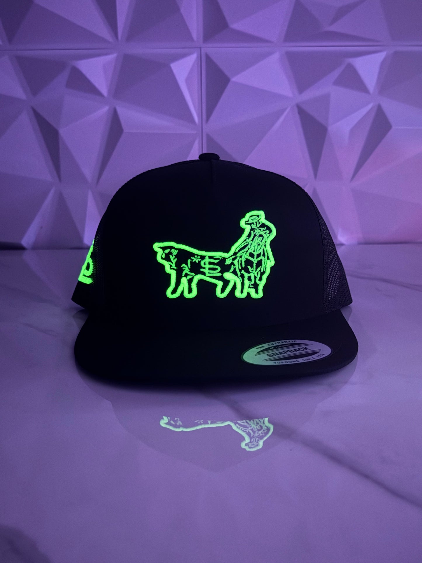 Coleadero Trucker SnapBack Hat