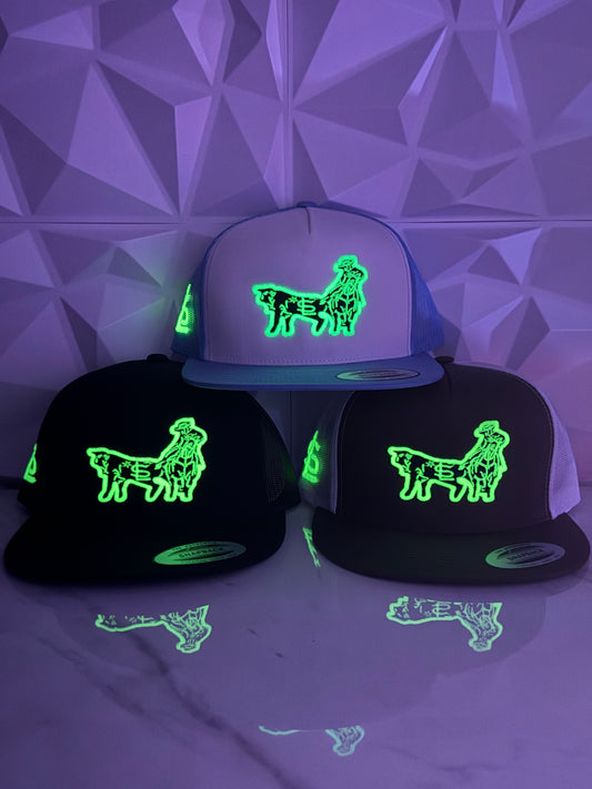 Coleadero Trucker SnapBack Hat